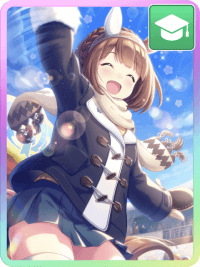 sp_113 (1).png
